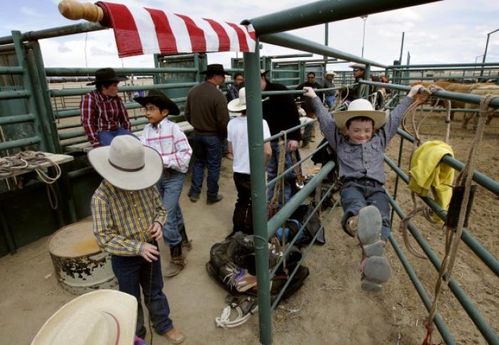 Mini Bull Riding